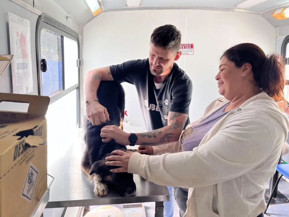 Outubro Pet: Prefeitura de Campo Grande oferece atendimento gratuito e promove adoção de cães resgatados