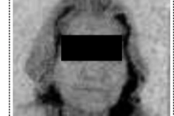 Farra do INSS: aposentados foram enganados com fotos falsas e fraudes bilionárias