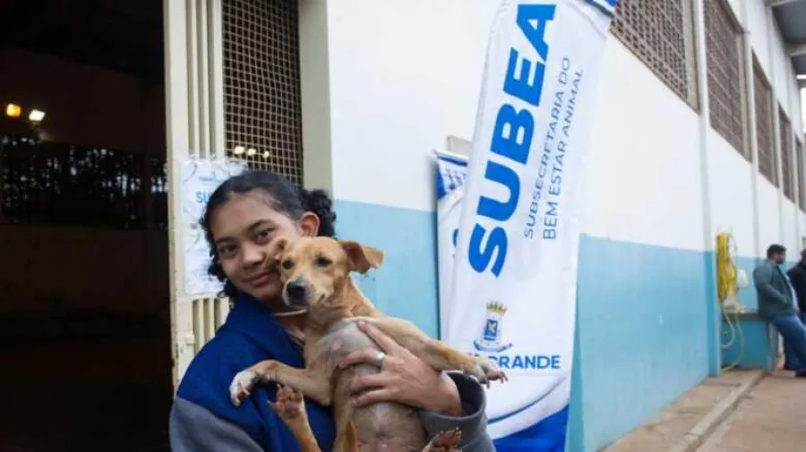 Campo Grande promove feira de adoção de cães adultos resgatados de maus-tratos