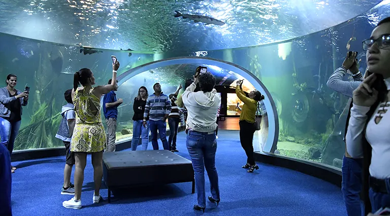 Mato Grosso do Sul celebra 48 anos com programação intensa e gratuita em Campo Grande e interior