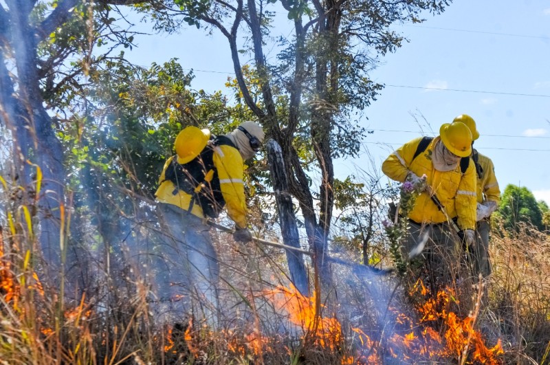Curso forma servidores para atuar em incêndios de grandes proporções