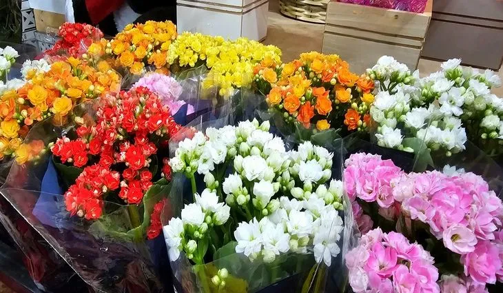 Preços de flores para o Dia de Finados disparam até 194% em Campo Grande