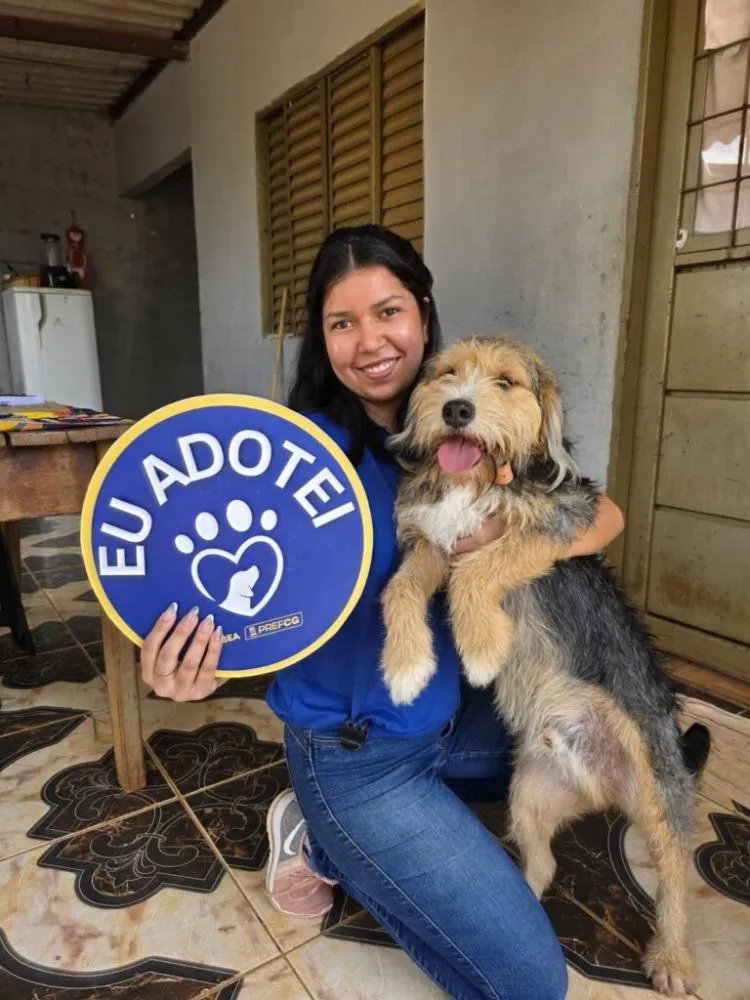 Última feira de adoção do ano reúne cães e gatos resgatados em Campo Grande