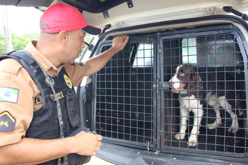 Cães da Polícia Rodoviária Estadual ajudam a garantir Carnaval mais seguro no Litoral