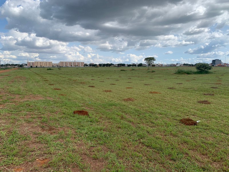 Carnaval com o plantio de 17 mil mudas no Parque Ecológico do RiachoFundo