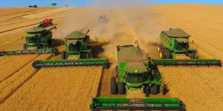 Agronegócio brasileiro dá salto em 20 anos com Safra recorde de 300 milhões/t 