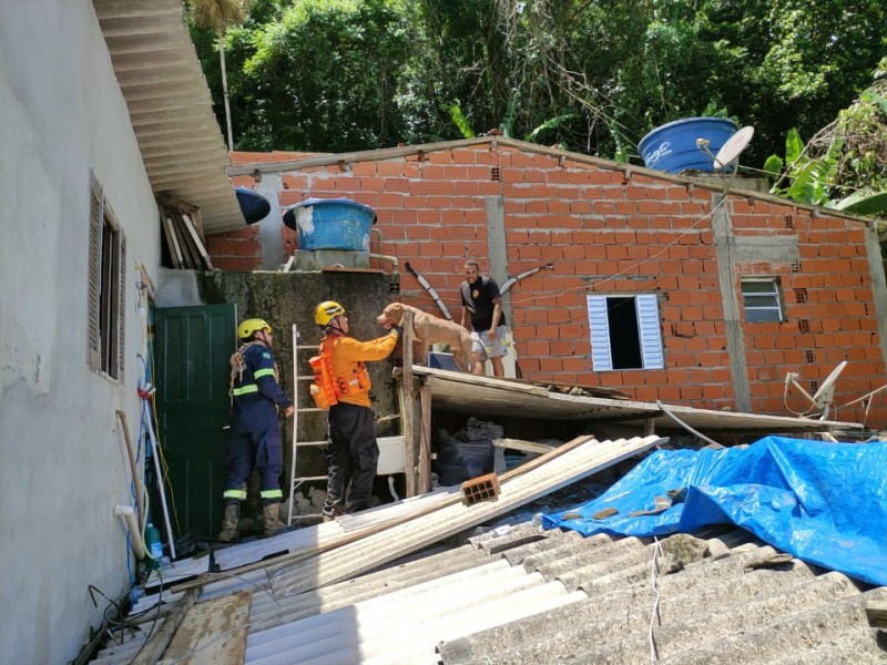 Grupo de Resgate de Animais em Desastres (GRAD) já resgatou 19 cães e gatos no litoral