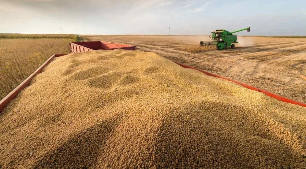 Colheita de soja atinge 25% de área em todo o país