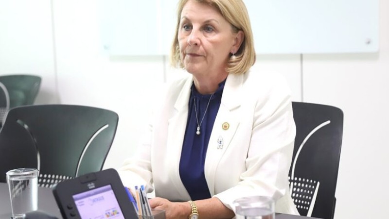 Deputada Márcia Huçulak (PSD) alinha visita de Secretária de Saúde Digital ao Paraná