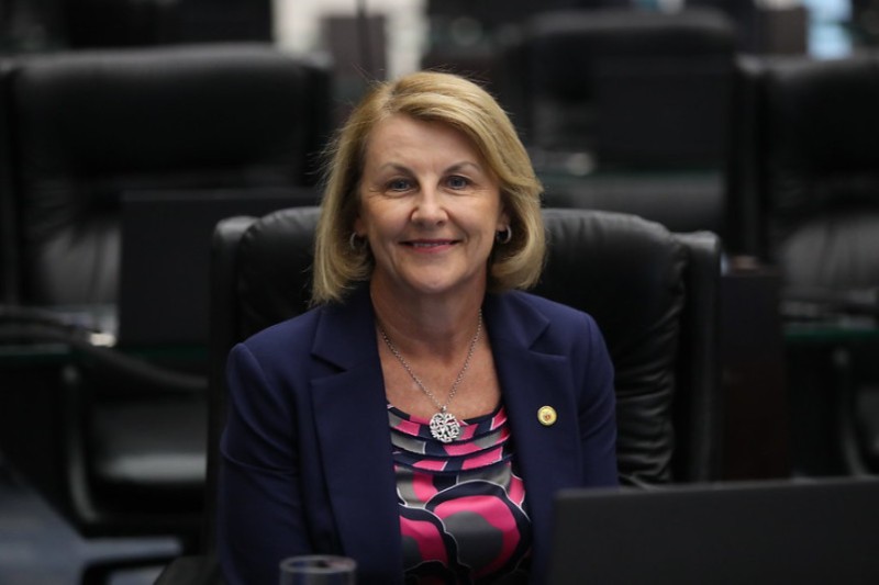 Na Assembleia, Márcia Huçulak (PSD) lidera Bloco da Saúde e faz parte de oito comissões