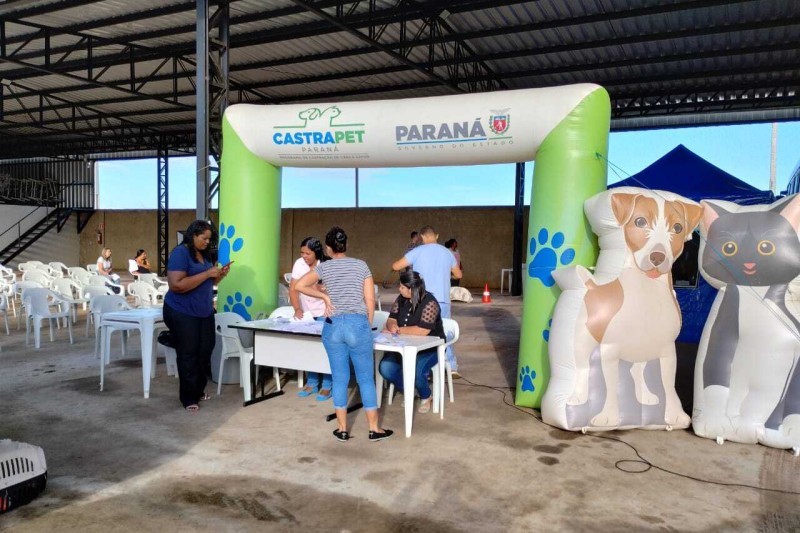 CastraPet abre agenda de março e deve esterilizar 1.195 cães e gatos na primeira quinzena