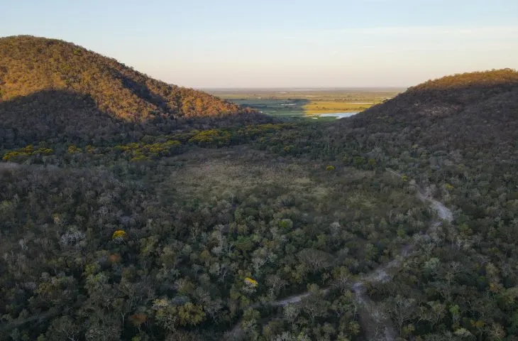 Pantanal preservado e economia em alta: Mato Grosso do Sul fortalece liderança nacional em sustentabilidade e produção de alimentos