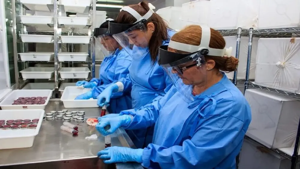 Com chikungunya em nível recorde, MS aposta na ciência para frear avanço de epidemias
