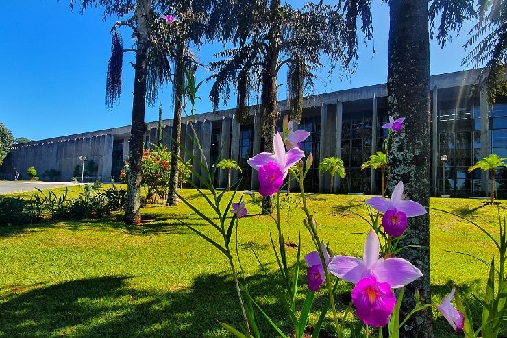 ALEMS realiza solenidade de entrega do Troféu Celina Jallad na quarta-feira