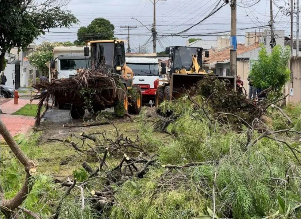 Campo Grande pede R$ 40 milhões à União após temporal que deixou rastro de destruição