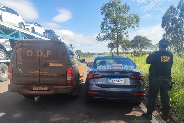 Medicamentos contrabandeados da Bolívia, que seguiam para o Rio de Janeiro, foram apreendidos pelo DOF em Ribas do Rio Pardo
