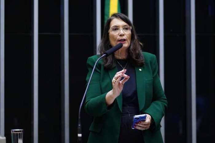 Comissão de Fiscalização Financeira e Controle elege Bia Kicis para presidente