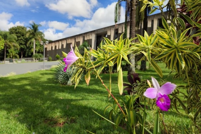 Seminário das Águas e audiência sobre Rota do Pantanal são destaques