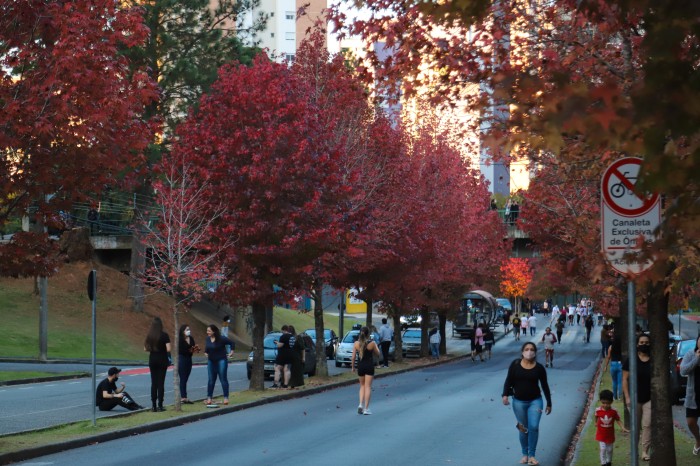 Após chuvas de verão, Simepar prevê outono típico no Paraná, com variações de temperatura