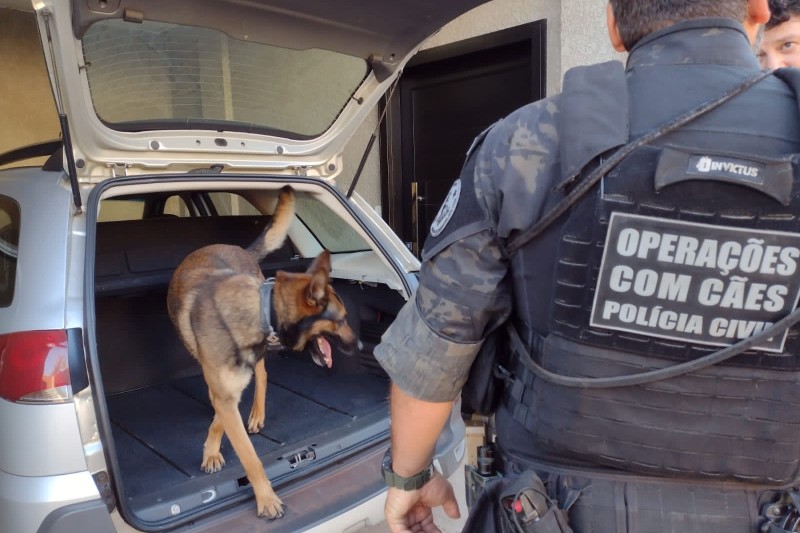 PCPR mira organização criminosa que realizava contrabando na fronteira com o Paraguai