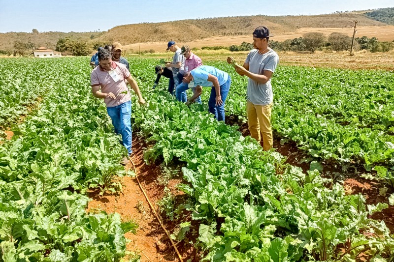 GDF avança na meta e qualifica 1,8 mil pequenos agricultores no DF