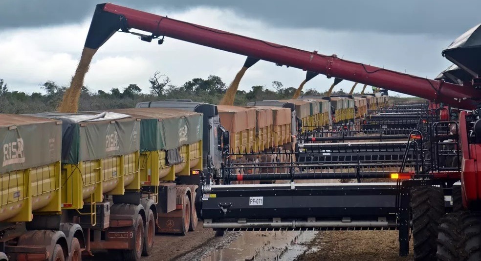 Produtividade média em Chapadão deve ficar em torno de 65 sacas por hectare