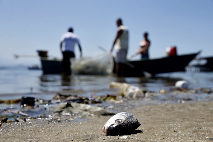 Baía de Guanabara tem neste sábado um dia de limpeza