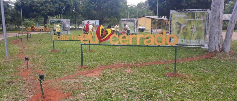 Natal no Cerrado levará educação ambiental e ação social a Samambaia