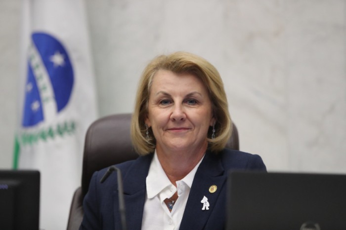 Criação do Dia do Secretário de Saúde é aprovada em redação final