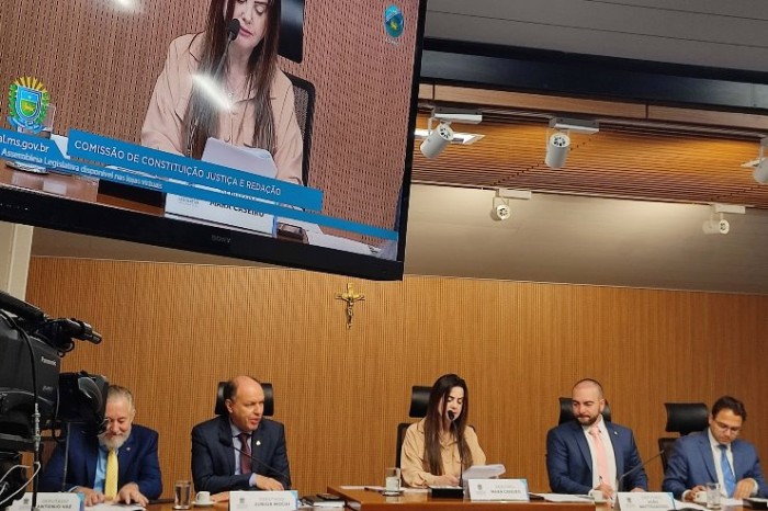 CCJR é favorável ao tratamento diferenciado a gestantes que perdem bebê