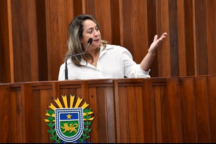 Distritos de Itahum e Vila Formosa devem ser beneficiados em solicitação de Lia Nogueira