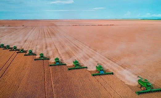 Colheita de soja 2022/23 avança 80,8% de área no Brasil