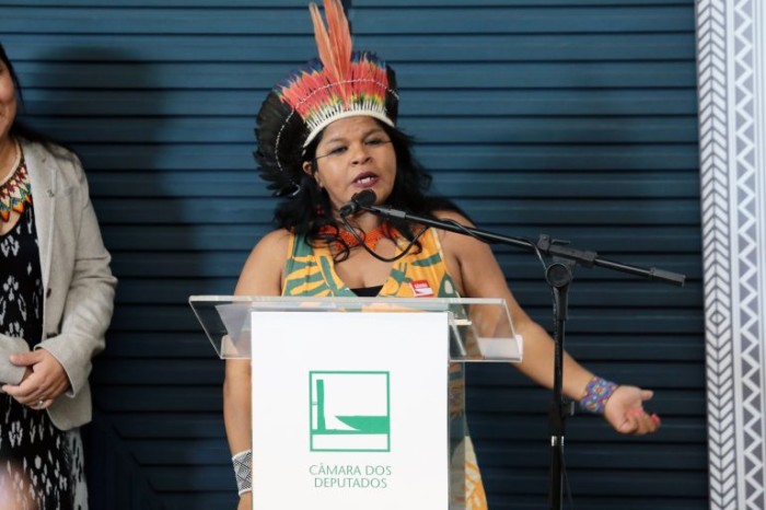 Comissão ouve ministra sobre prioridades do Ministério dos Povos Indígenas