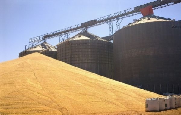 Preço do milho segue em queda com perspectiva de produção alta