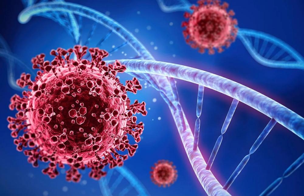 MS registra 908 novos casos de covid e uma morte na última semana