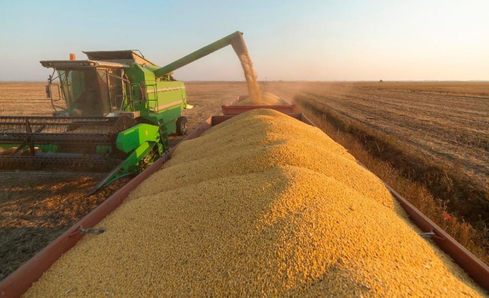 IBGE: Safra 2023 será a maior registrada na história do Brasil