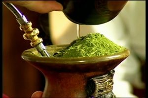 Lei torna Cruz Machado (PR) a capital da erva-mate sombreada